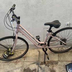 2020 Giant “Liv Flourish” Pink Bike