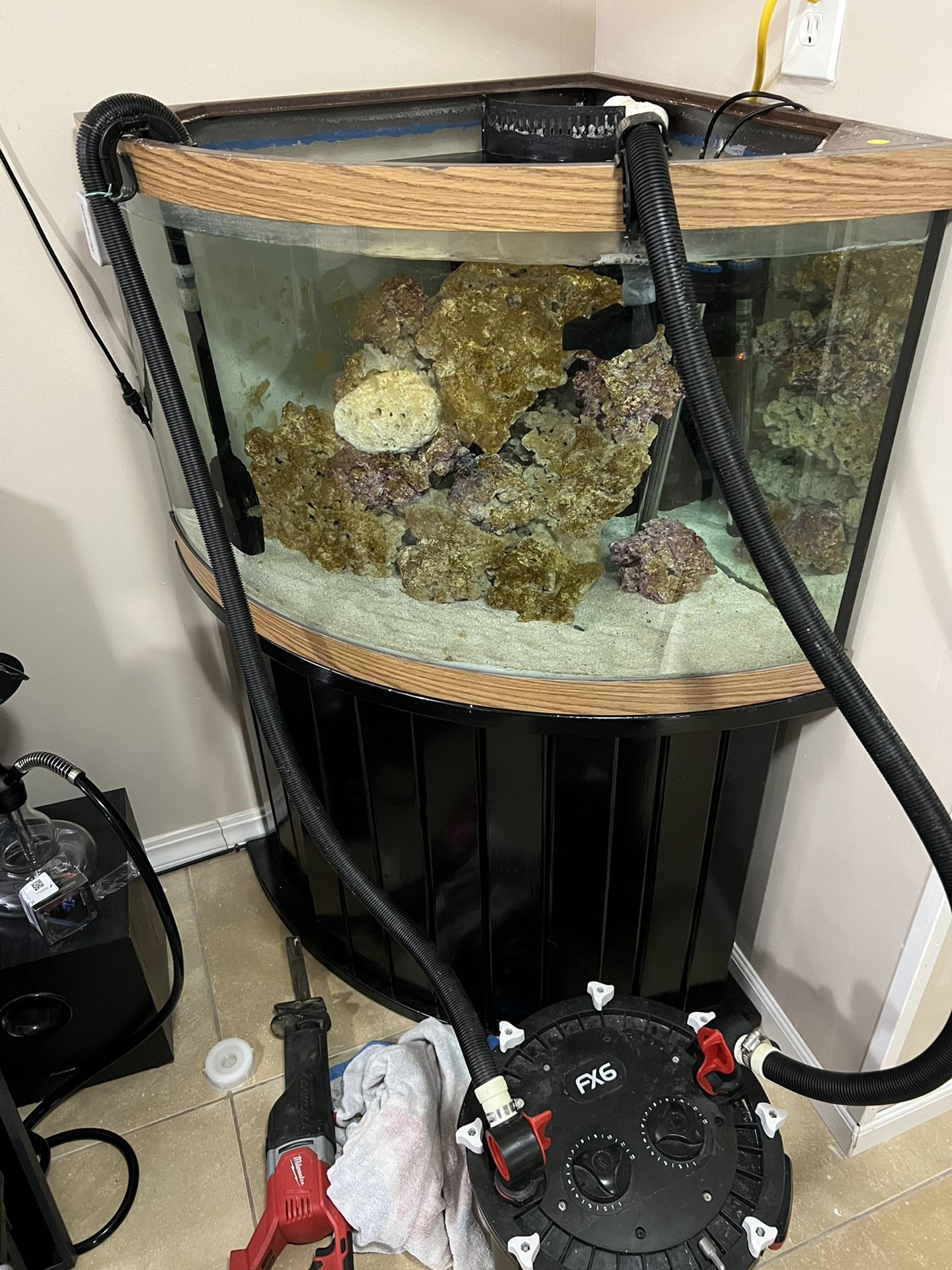 Corner Fish Tank Aquarium 54 Gallon