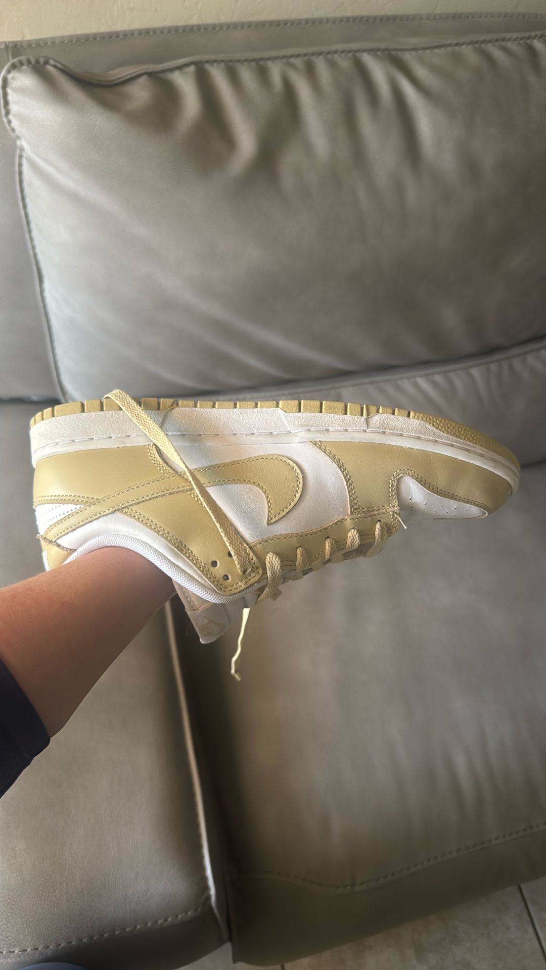 Nike Dunks 