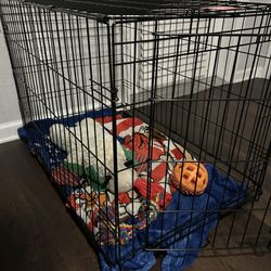 Dog Crate / Cage
