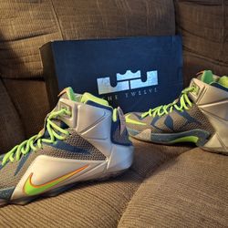 Nike LeBron 12 PRM "Trillion Dollar Man"