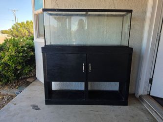 75 gallon fish tank