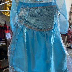 Frozen Elsa Dress/costume 