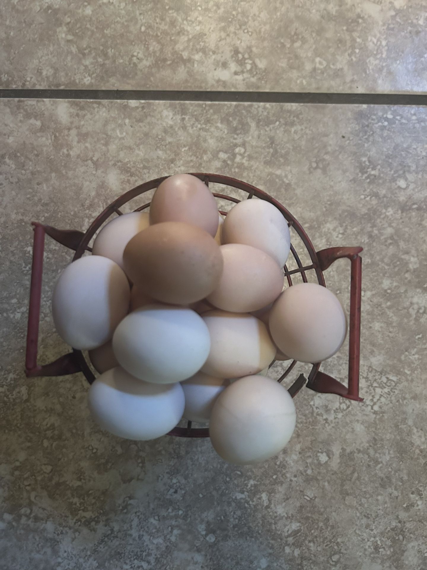 Huevos Orgánicos 