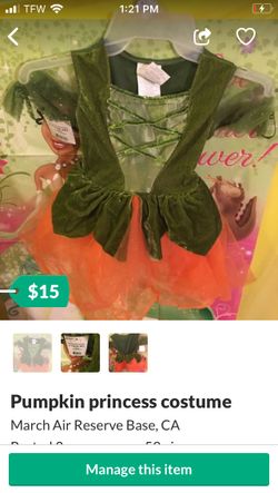 Pumpkin princess costume