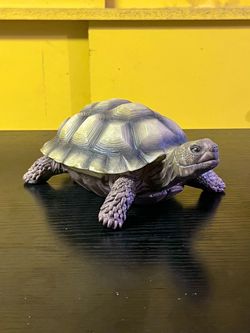 Turtle Statue