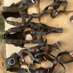 Sintieron  Para Rufin 