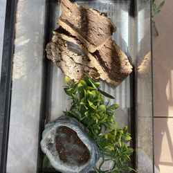 Reptile supplies enclosure