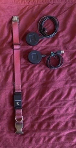 Fi Series 3 Smart Dog Collar
