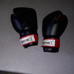 Used Proforce Boxing Gloves 