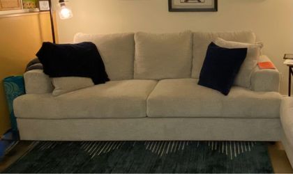 Cozy Sleeper Sofa Couch