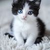 Katty