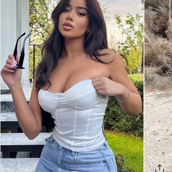 Fashion Nova White Satin Corset Top