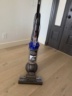 Dyson Animal 2 origin