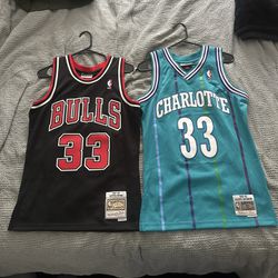 Bulls Jersey/charlotte Hornets Jersey