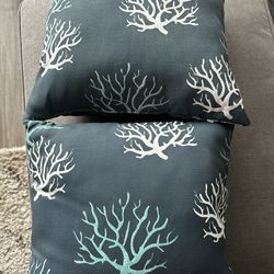 15” Outdoor Pillows (set)