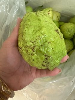 Fresh Guava