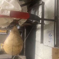 Speed Punching Bag