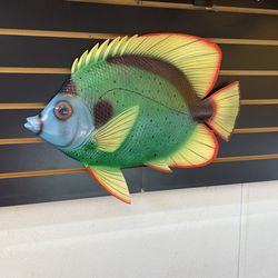 Beautiful Sunfish Taxidermy For Sale$100