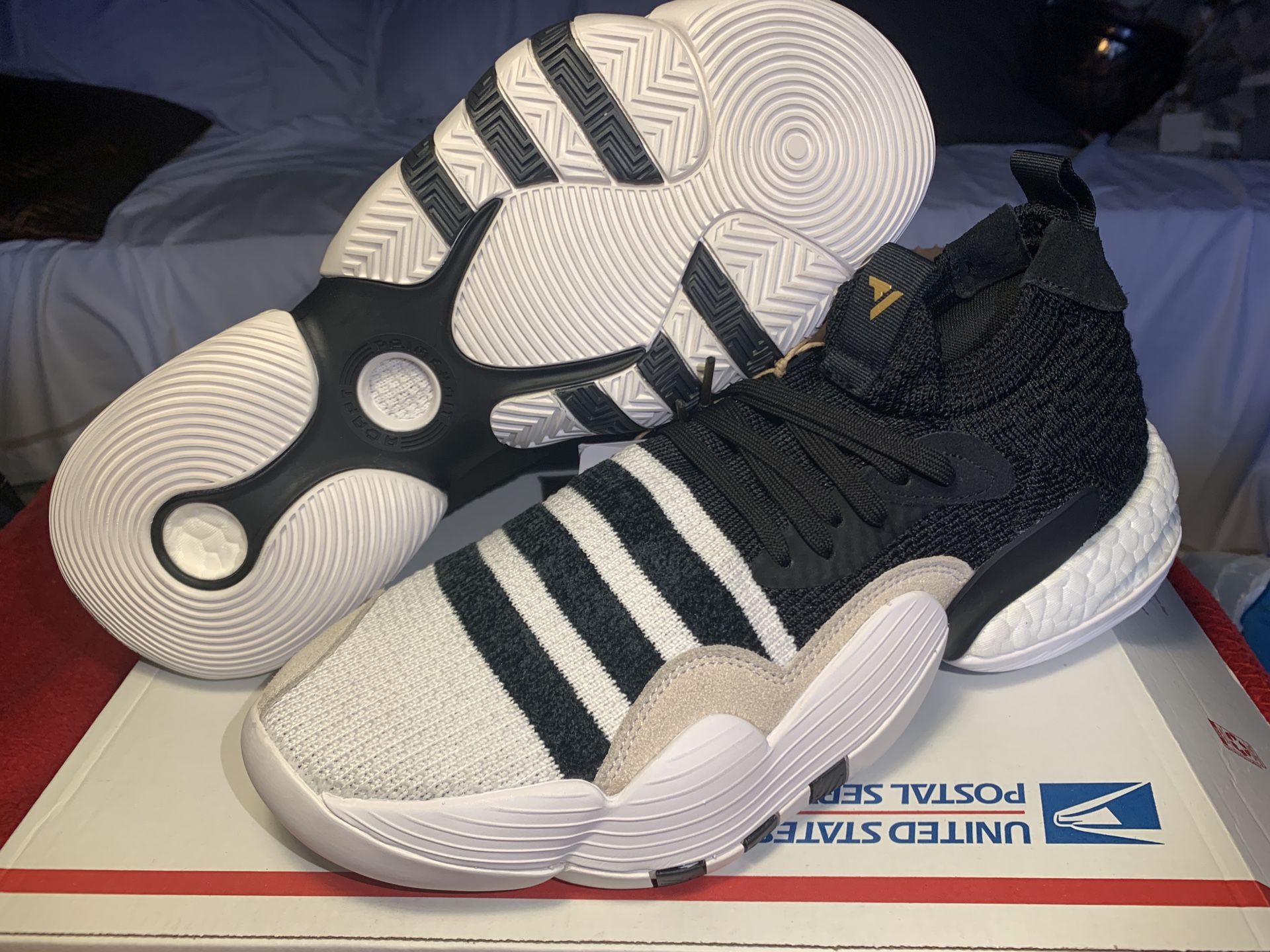 Trae Young 2 Size 12