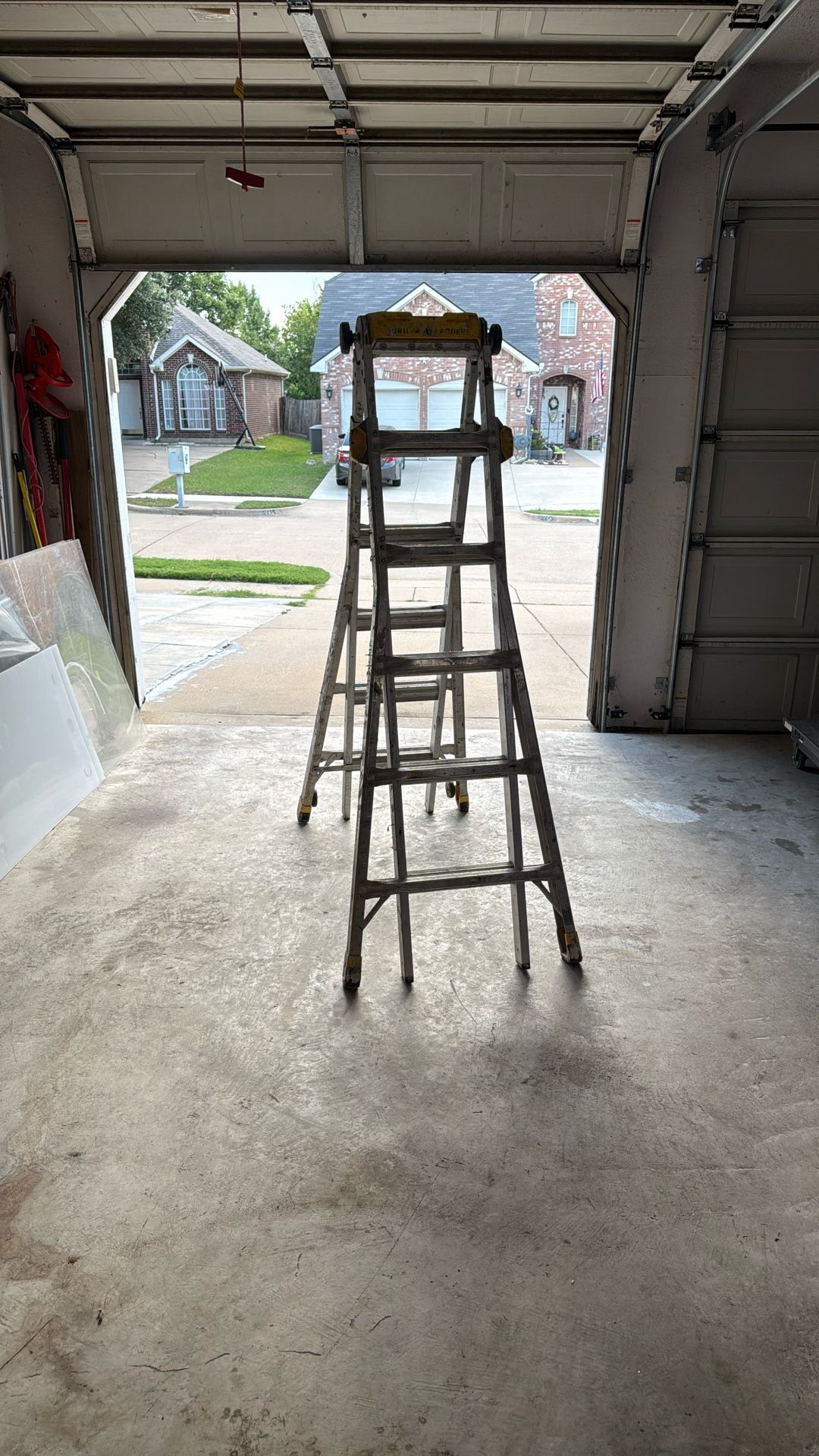 22’ Gorilla Ladder