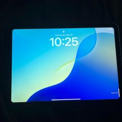 10th Generation Blue iPad