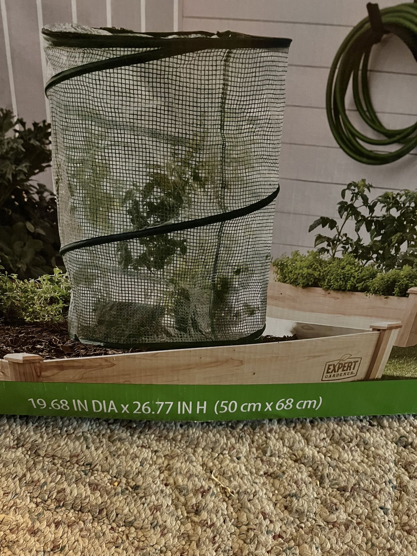 New Mini Green House