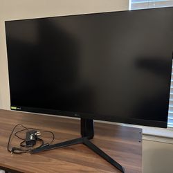 LG 32in PC Monitor 