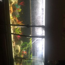 75 Gallon Tank w/stand And Other Accessories 