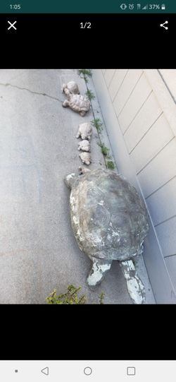 Set of decorative concrete turtles
