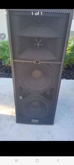 Peavey non powered 2 12inch speakers $750