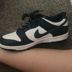 Dunks , Size 6Y 