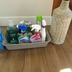 Cleaning products and vase for free