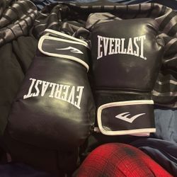 Everlast Boxing Gloves 