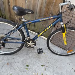 Men Adult Bicycle 