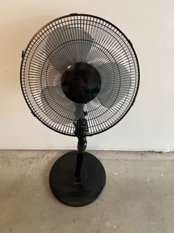 Fan
