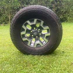 Original Toyota Rims & Wheels (4)