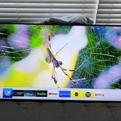 55 Inch 4K Samsung Smart TV W/Wall Mount