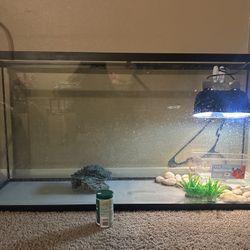 Fish Tank 55 Gal