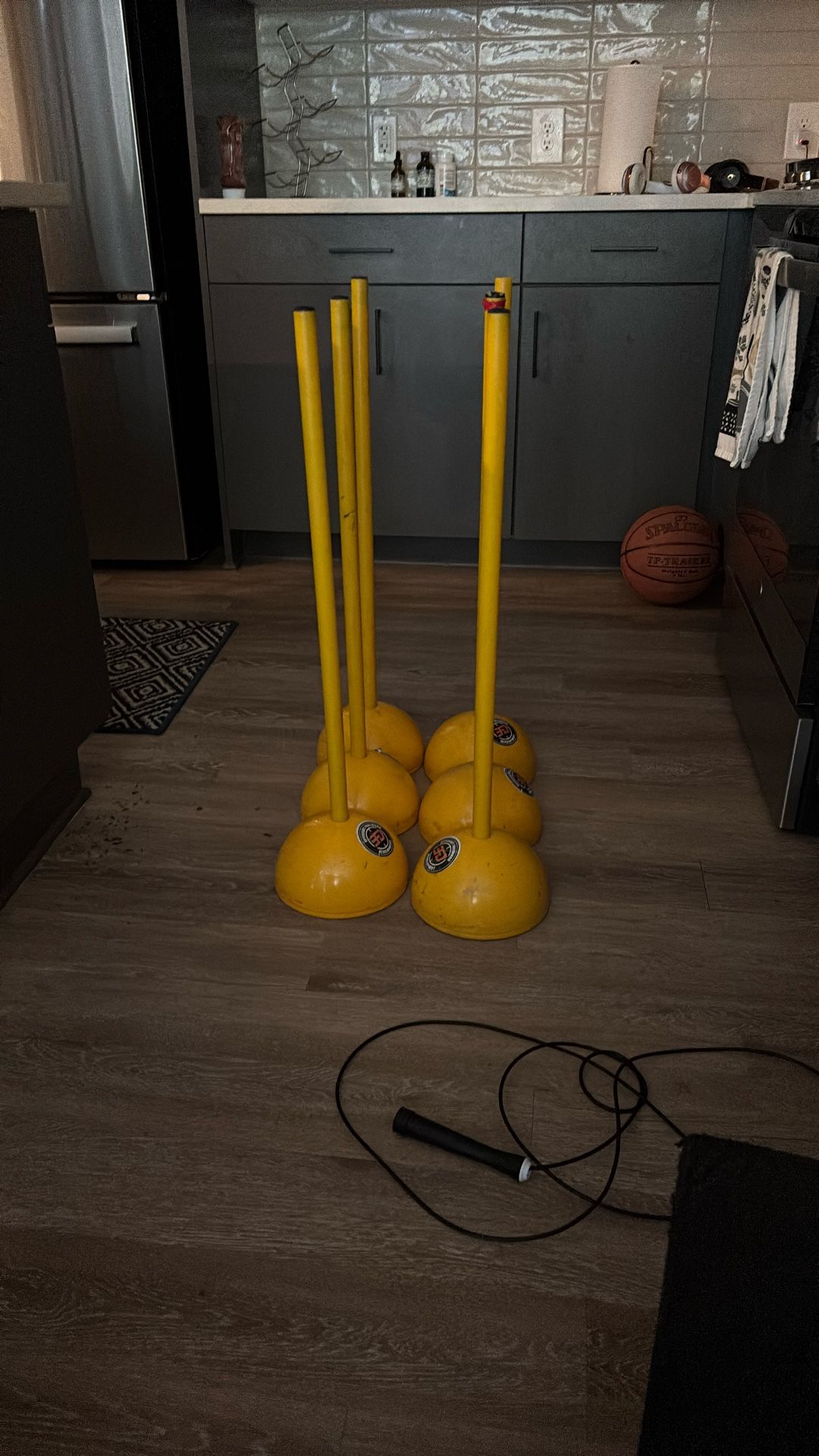 Speed And Agility Sticks