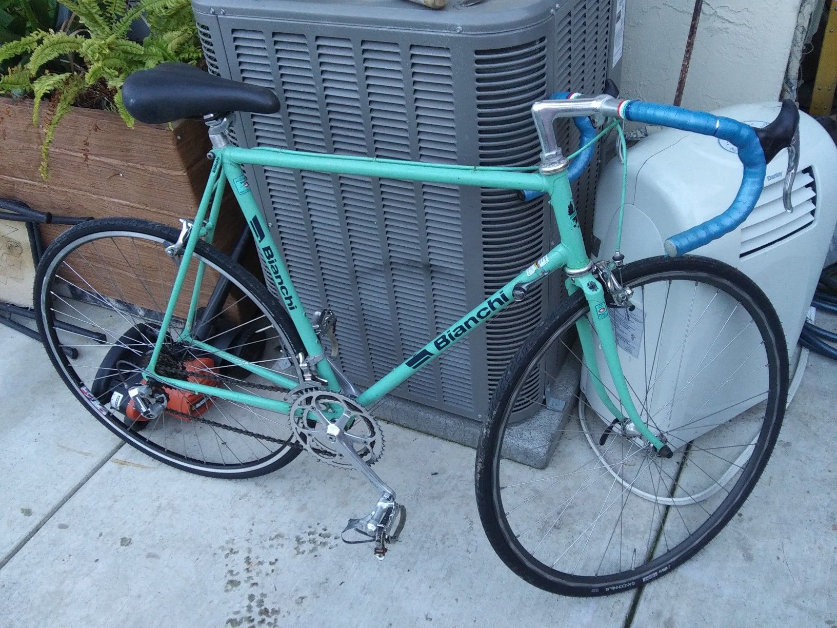 Bianchi Vintage Sport SX Campione del Mondo 1986-87