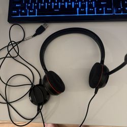 Jabra Evolve 20 HSC016 Wired headphones with microphone