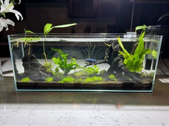 5 gallon aquascape tank
