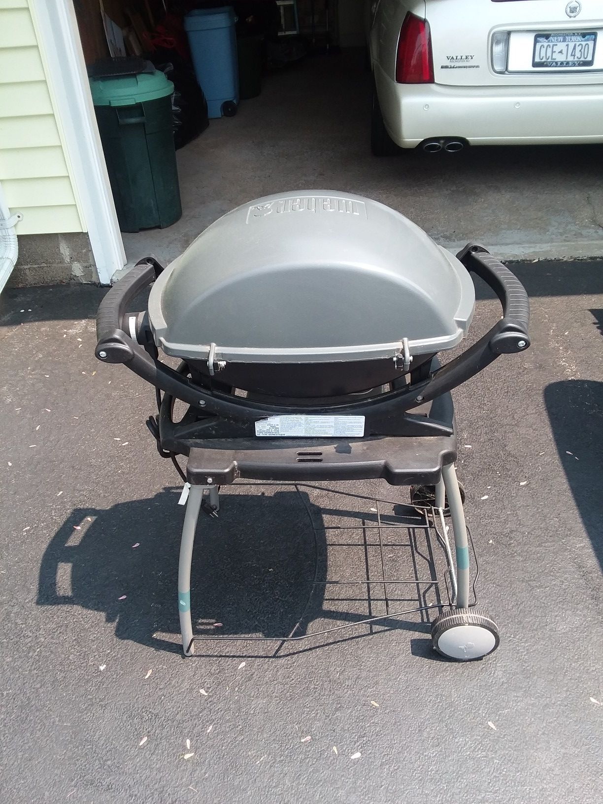 Electric weber grill