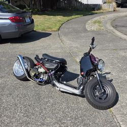 Honda Ruckus