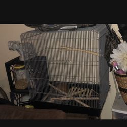 Bird Cage $40 