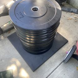 Weights Bumper Weights Set For Sale 
