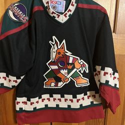 Phoenix Coyotes Kachina Jersey - Youth L/XL