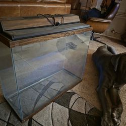 40 Gal Fish Tank