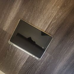 iPad with Apple Pencil